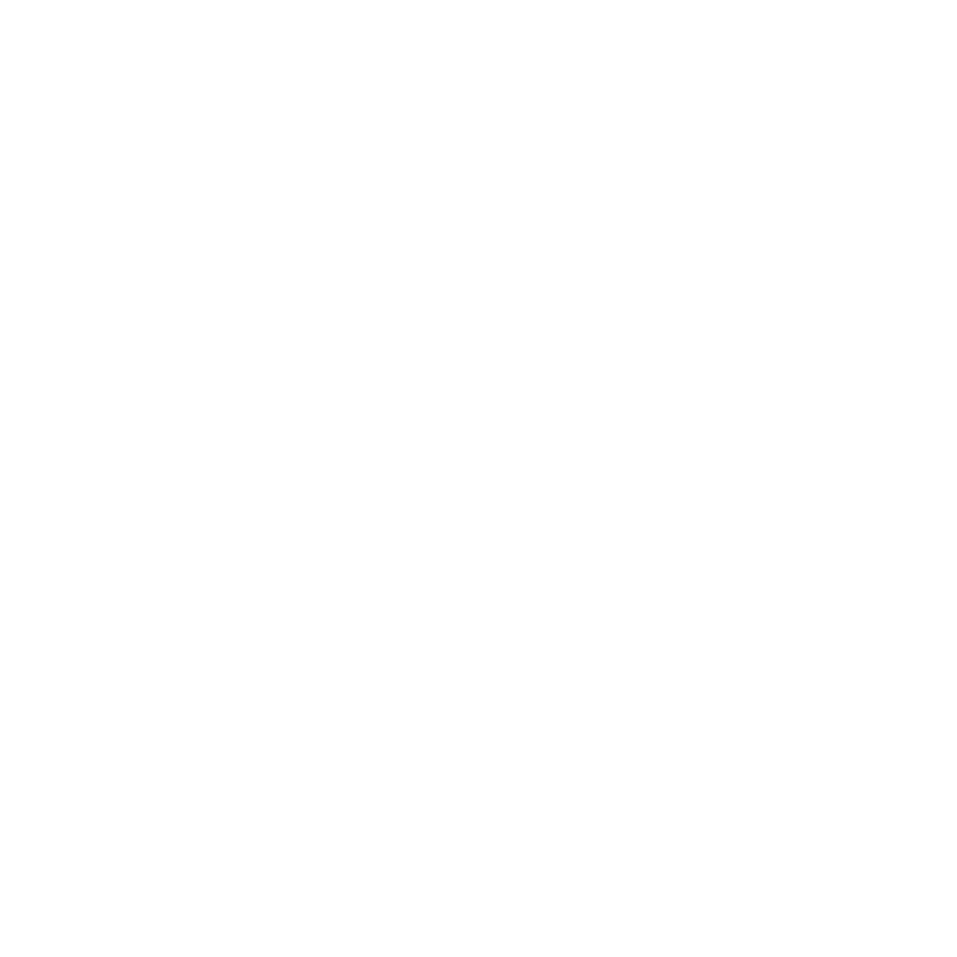 WEBSITE SYMBOLEN (13)